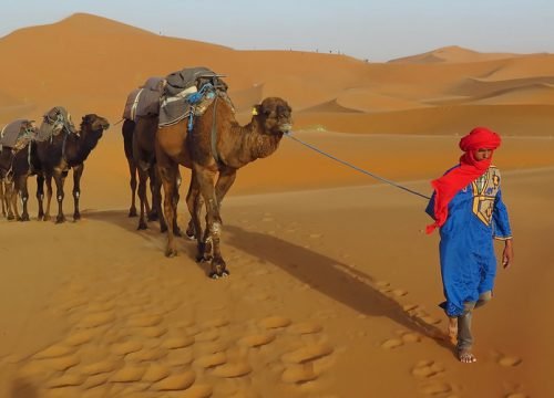 Private desert tour Marrakech