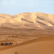 Desert tour Merzouga