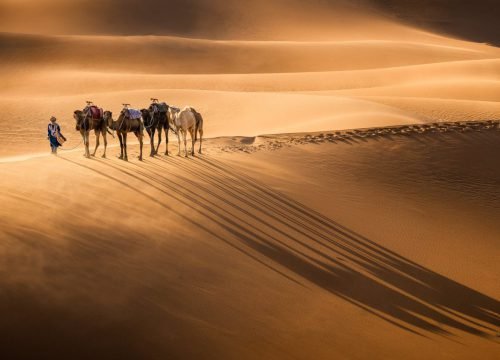 Best desert from Marrakech