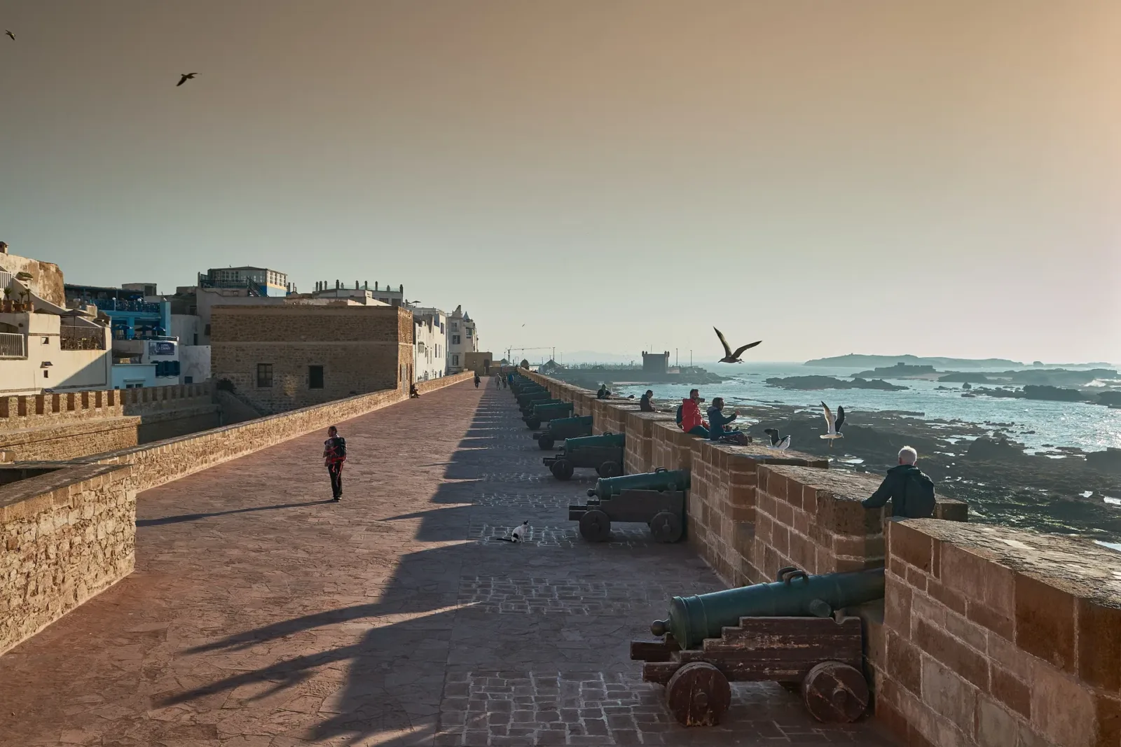 Day Trip To Essaouira City Morocco tour
