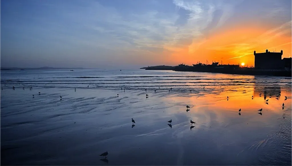 Day Trip To Essaouira City Morocco tour